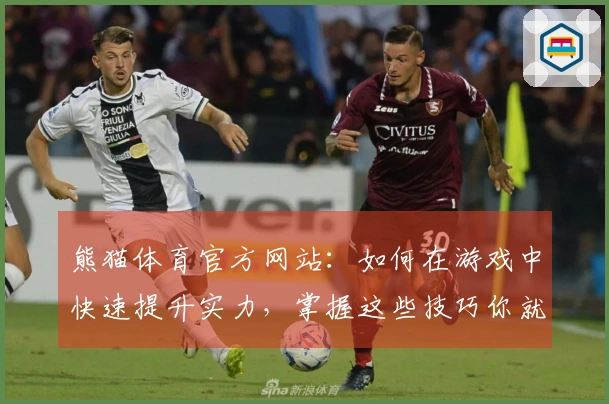 熊猫体育官方网站：如何在游戏中快速提升实力，掌握这些技巧你就赢了！